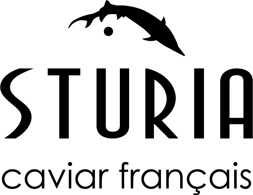 Logo Sturia